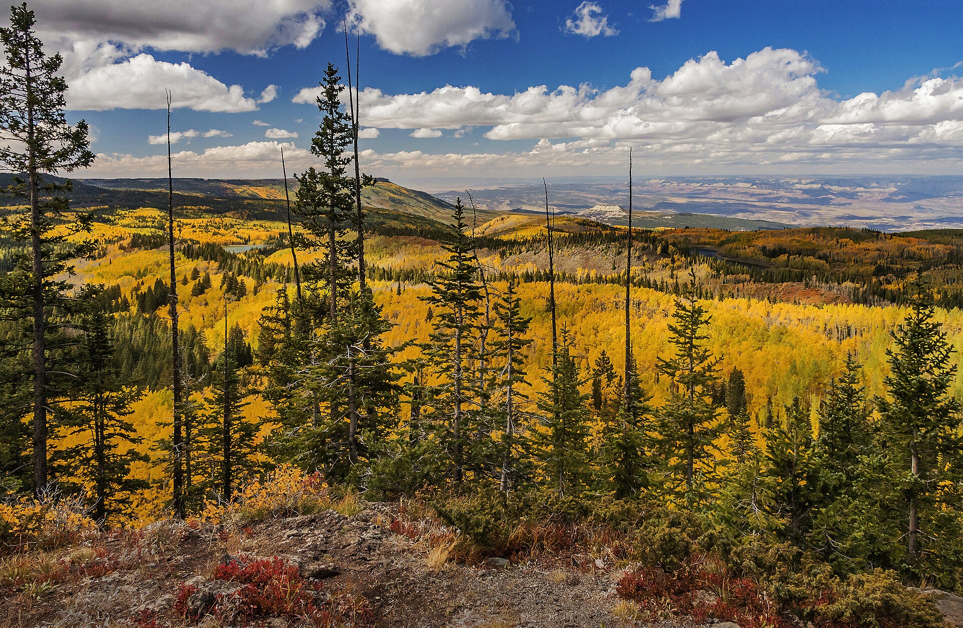 06-grand-mesa.jpg