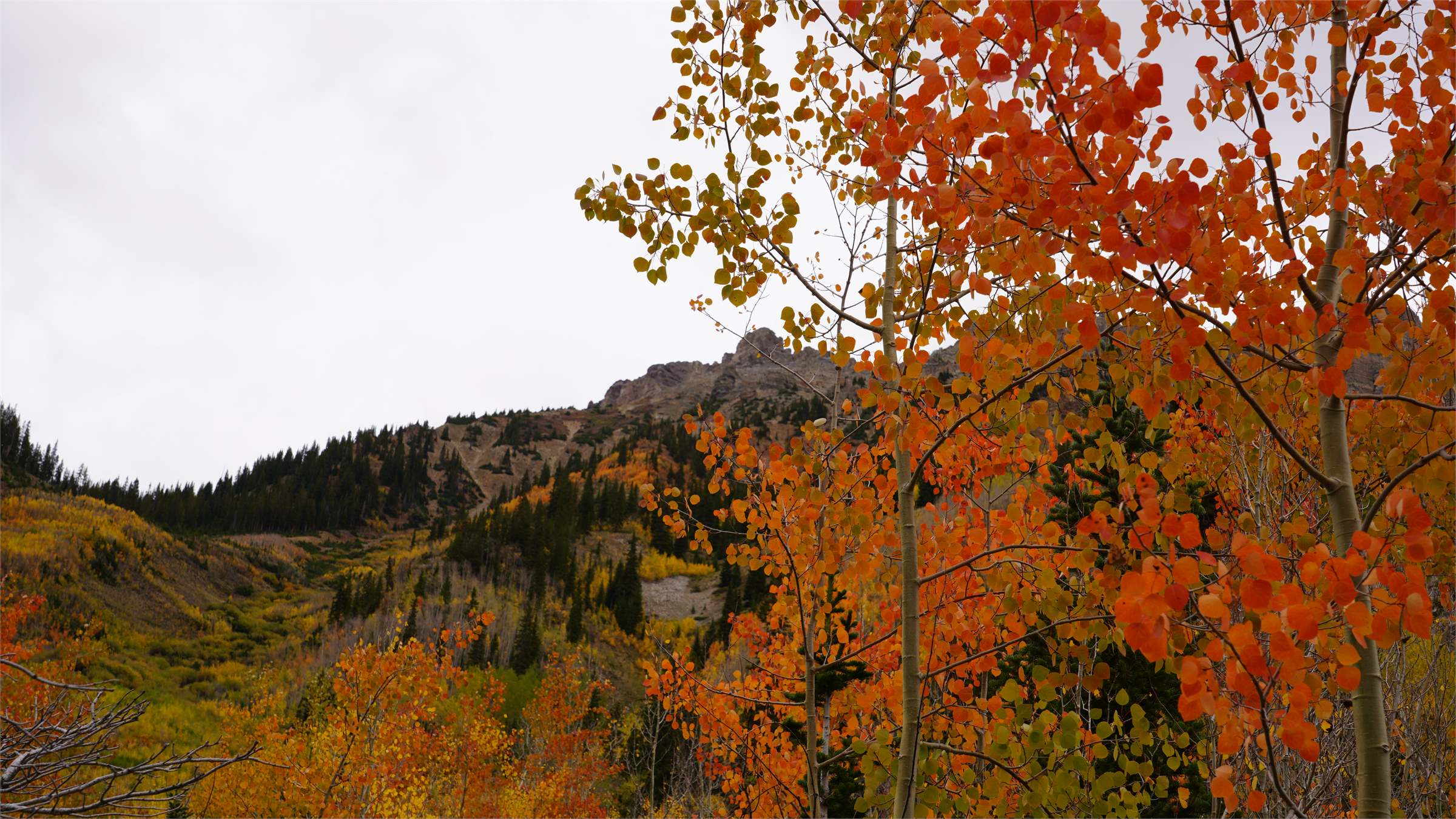 DSC05808.JPG