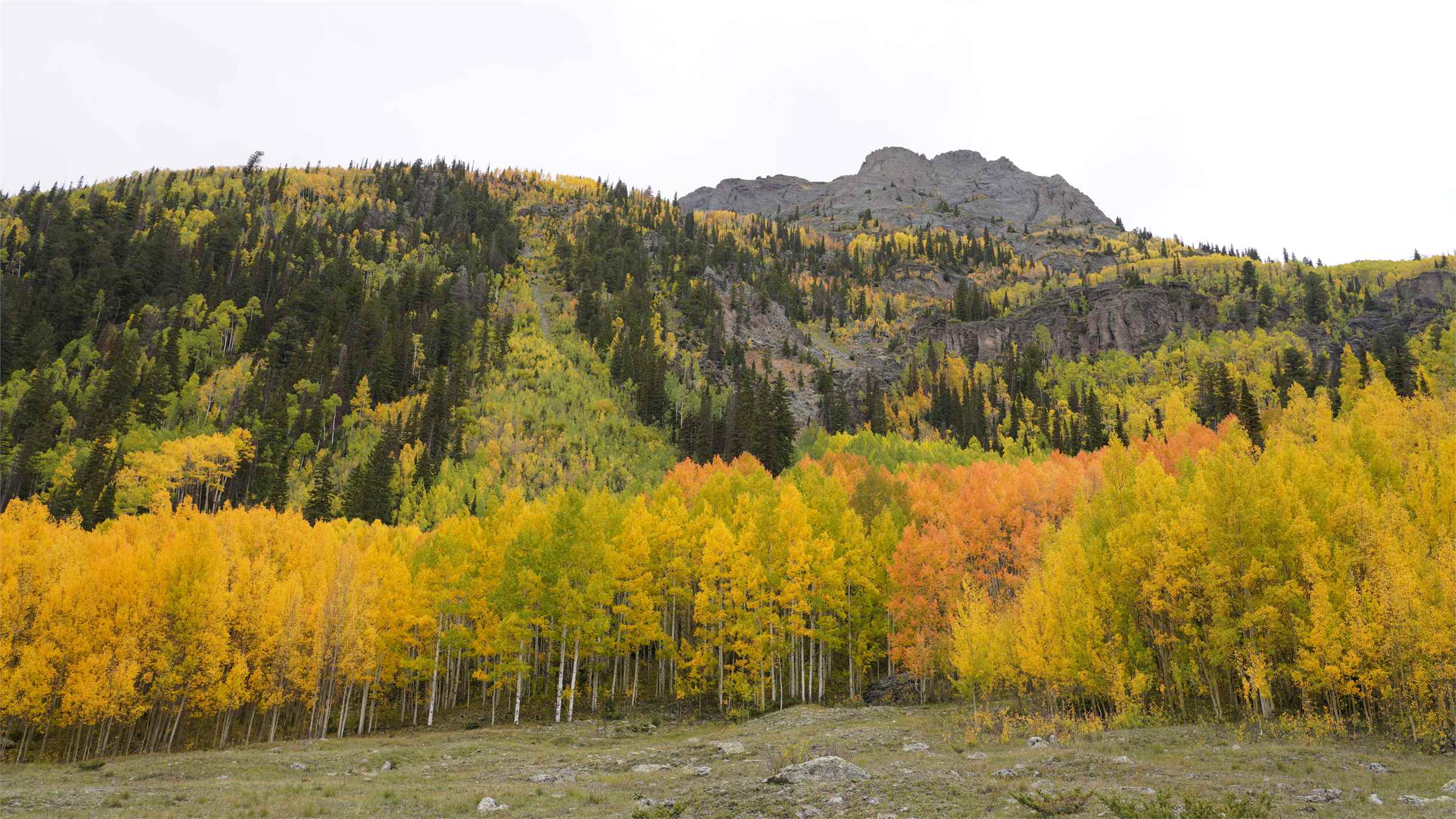 p0924-silv (33).JPG