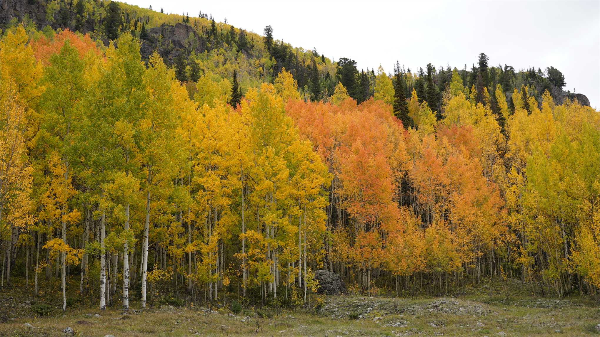p0924-silv (38).JPG
