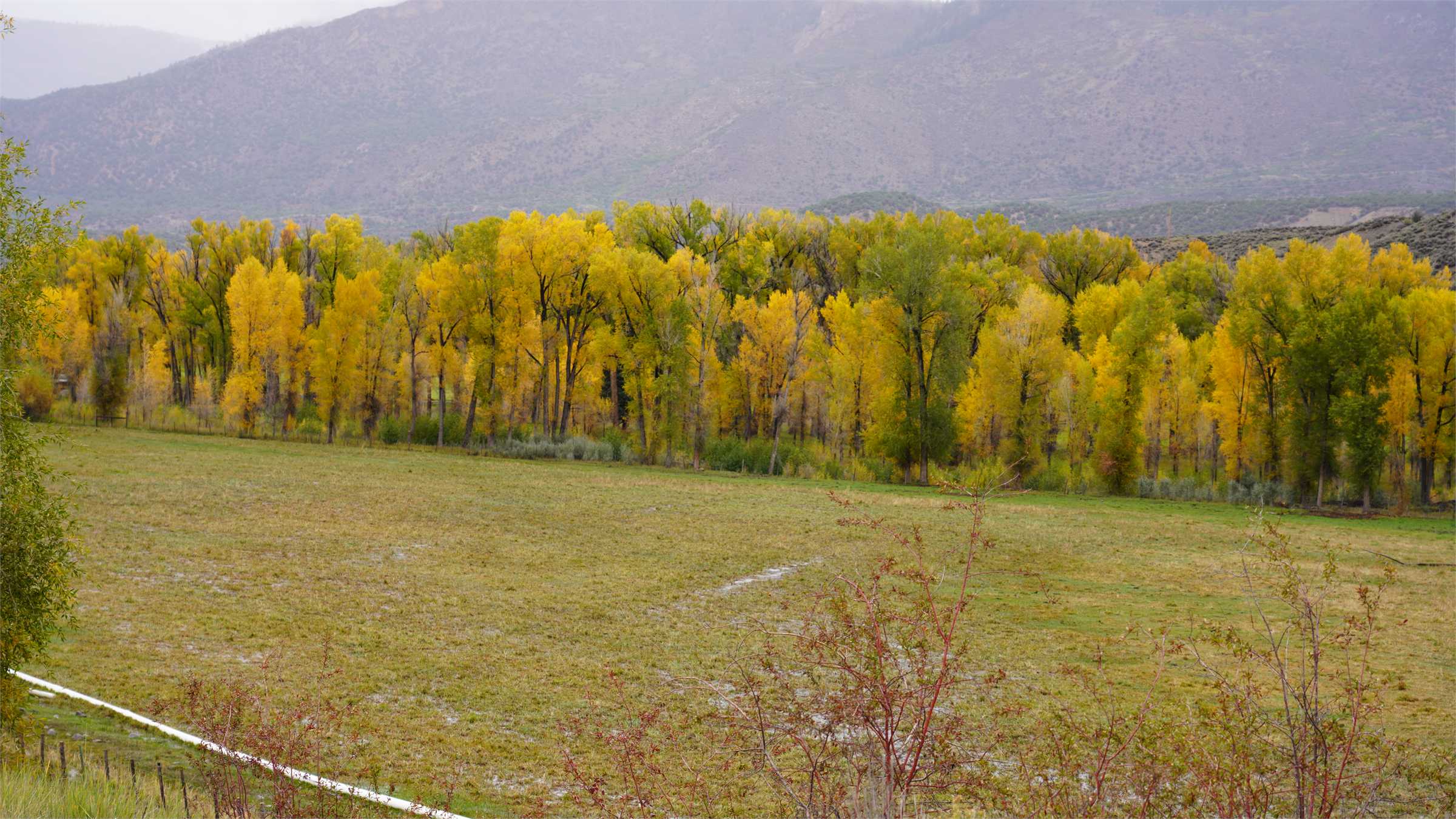 DSC07223.JPG