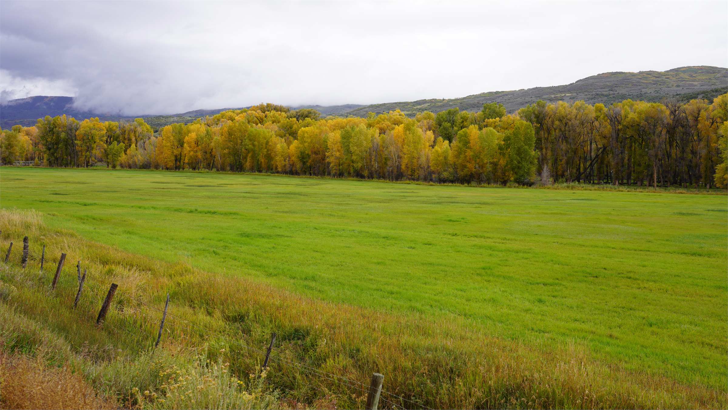 DSC07227.JPG