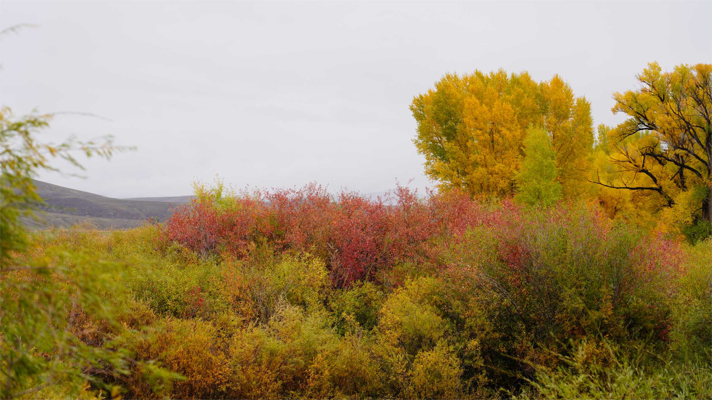 DSC07394.JPG