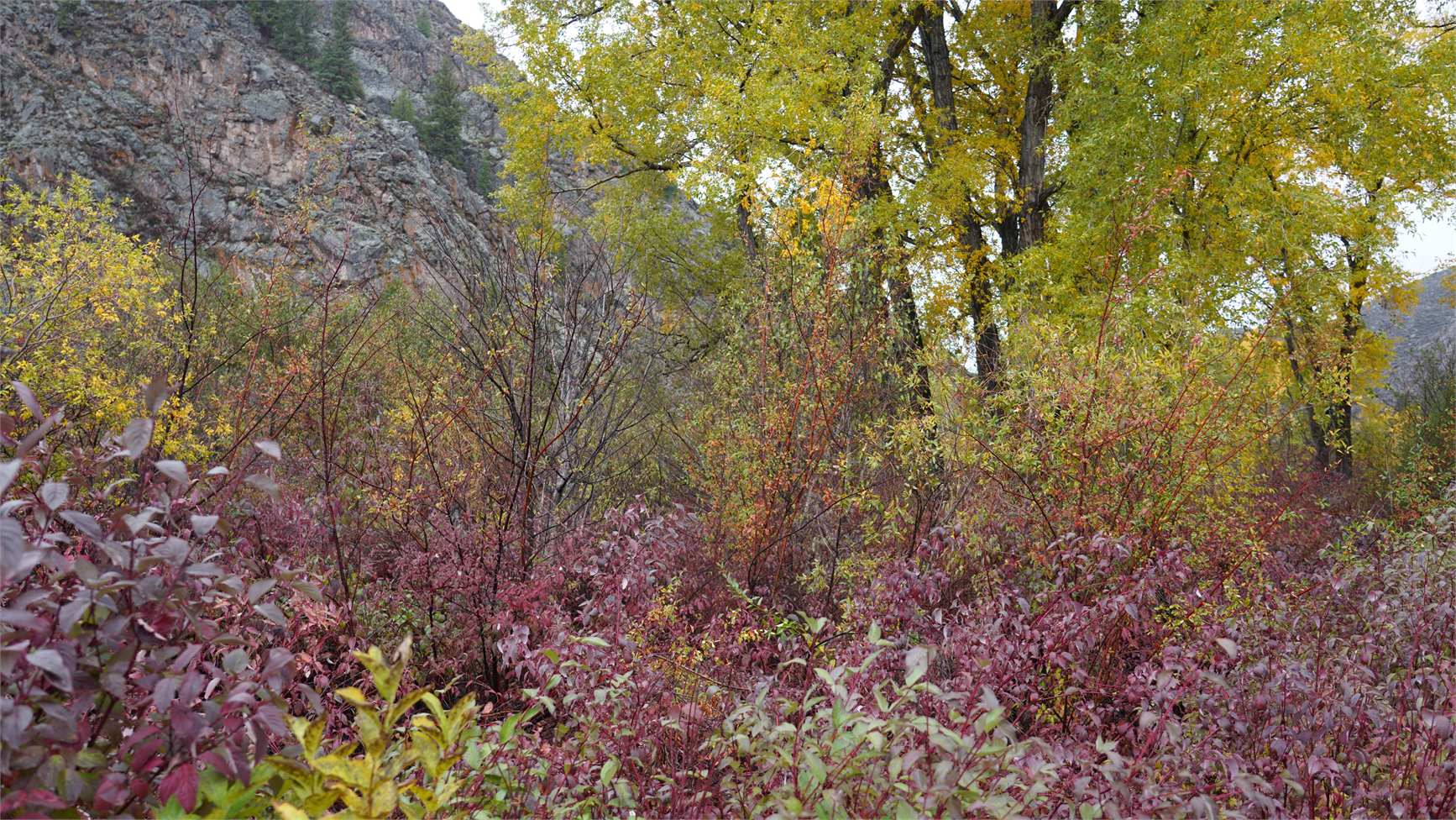 DSC07537.JPG