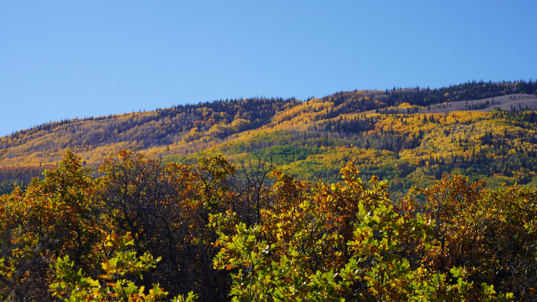 DSC07788.JPG
